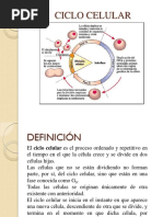 Ciclo Celular Mitosis y Meiosis