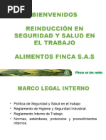 INDUCCION Administrativos SST FINCA S.A.S 2020