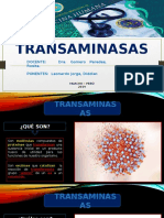 TRANSAMINASAS