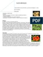 Album de Plantas Medicinales