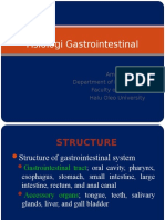 Fisiologi Gastrointestinal: Amiruddin Eso Department of Physiology Faculty of Medicine Halu Oleo University