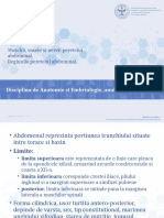 Lucrare Practica 2 - Peretele Abdominal