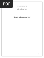 Project Report On International Law