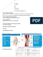 Word Resumen Traumatologia