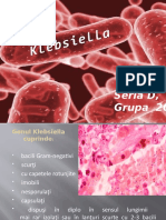 Klebsiella