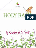 Holy Basil Ebook Storage