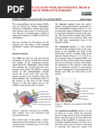 Submandibular Gland Excision