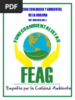 PORTAFOLIO DE SERVICIOS FEAG Original