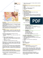 Auditory System