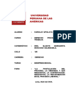 Trabajo Apolaya Derecho Procesal Del Trabajo