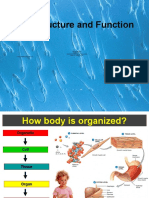 Cell Structure and Function