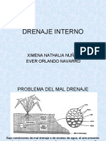 Drenaje Interno