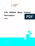 2 5.1 ZTE GERAN UR12 Basic Feature Descr