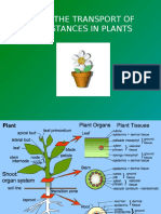 Transport in Plants