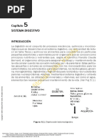 Lectura Fisiología Sistema Digestivo Monogastricos