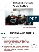 AUDIENCIA DE TUTELA-modulo II