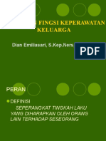 Peran, Fungsi, Keperawatan Keluarga