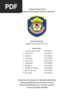 LAPRAK Bilirubin Dan Urobilin - Kelompok 2