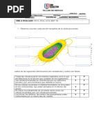 Taller de Repaso Naturales Primer Periodo