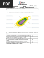 Taller de Repaso Naturales Primer Periodo