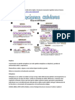 Términos Displasia y Metaplasia