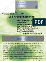 Arqueobacteria