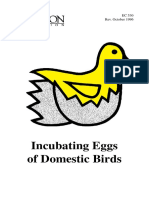 Incubating Eggs of Domestic Birds: EC 530 Rev. October 1996