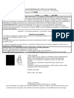 Guía Ciencias Autoaprendizaje Unidad 1 6° Básico