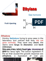 Fruit Ripening: Gas Hormone