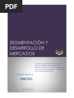 Segmentacion y Desarrollo de Mercados