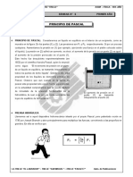 II BIM - 1er. Año - FISICA - Guía 6 - Principio de Pascal