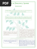 Arbol Principios Valores Transparencia