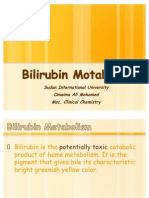 Bilirubin Metabolism