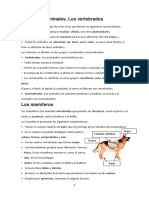 Tema 6 Animales Vertebrados