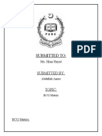 BCG Matrix Assignment 1