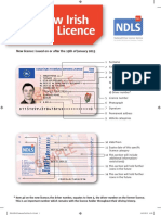 The New Irish Driving Licence: SAM PLE