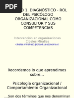 Diagnóstico El Rol Del Psicólogo Organizacional Como Consultor y Sus Competencias