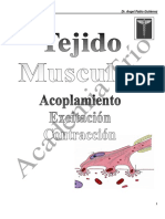 Acoplamiento Excitación-Contracción PDF