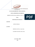 Participacion Ciudadana PDF