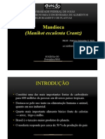 Melhoramento Da Mandioca - Manihot Esculenta Crantz