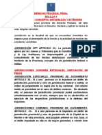 Derecho Procesal Penal Bolilla 4