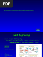 Cell Signaling