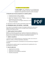 La Auditoría en El Sector Público