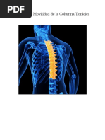 Módulo 3 Movilidad Toracica PDF