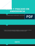 Éxito y Fracaso en Endodoncia (9647)