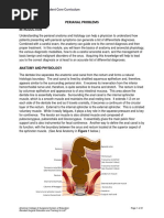 Perianal Problems: ACS/ASE Medical Student Core Curriculum Perianal Problems