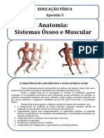 Apostila 5 Sistemas Osseo e Muscular Alongamento e Aquecimento 1