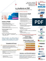 PIGDP RNBD y Auditoria 2.5 PDF