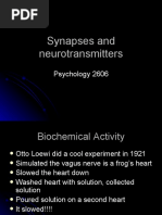 Synapses and Neurotransmitters