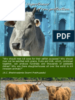 The Global Importance of Cow Protection